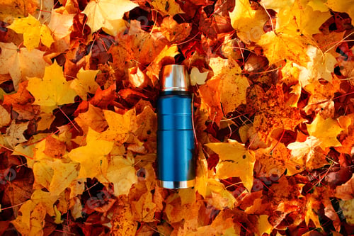 Preview: Blue vacuum thermos in the autumn forest. Traveling metal thermos on fallen leaves, top view. The