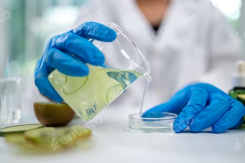 Preview: Natural organic green botany laboratory with scientific glassware, Alternative herb medicine care