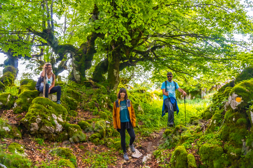 Preview: Mount Aizkorri forest nature