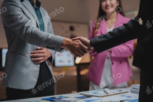 Preview: Business professionals shaking hands confirming agreement
