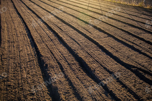 Preview: Soil after cultivation, mixing and grinding a field.