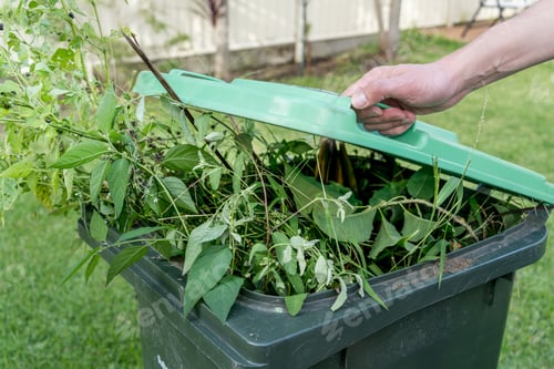 Preview: Hand closing a green rubbish garbage bin with Green garden waste. Recycling household waste