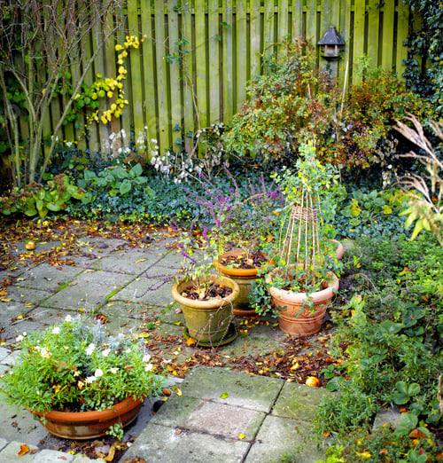 Preview: My private spot in the garden