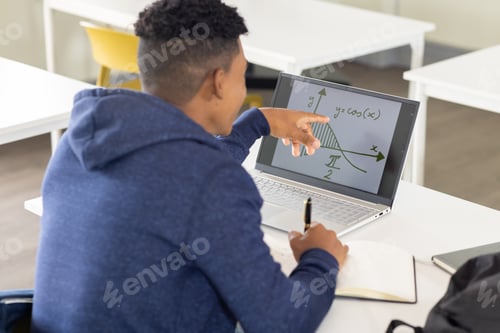 Preview: In school, male student pointing at graph on laptop screen while taking notes