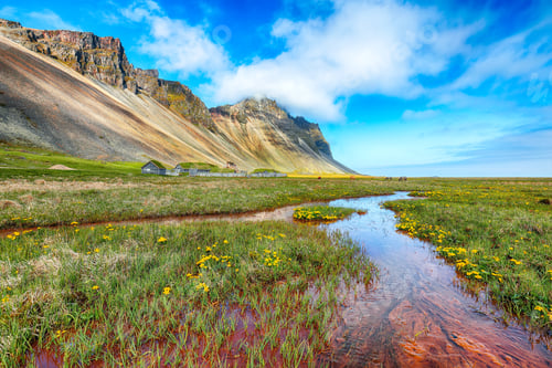 Preview: Amazing sunny day and gorgeous meadow near Vestrahorn mountaine on Stokksnes cape in Iceland.