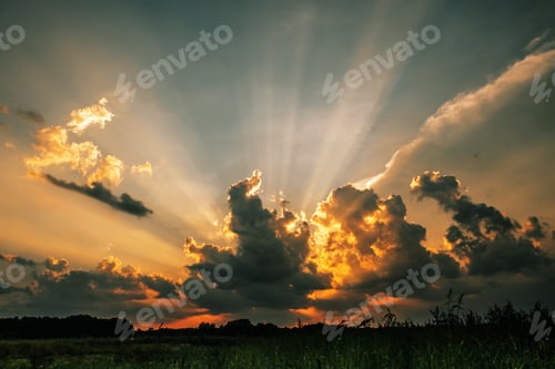Preview: Beautiful sunset over the field and forest.