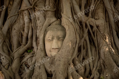 Preview: Old Beautiful Thai Temple wat Mahathat, Ayutthaya Historical Park