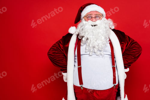 Preview: Funny Santa Claus portrait