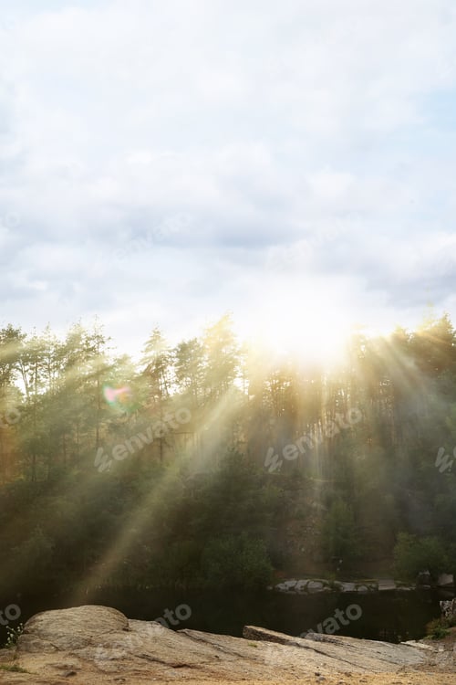 Preview: Picturesque view of sunny forest. Camping season