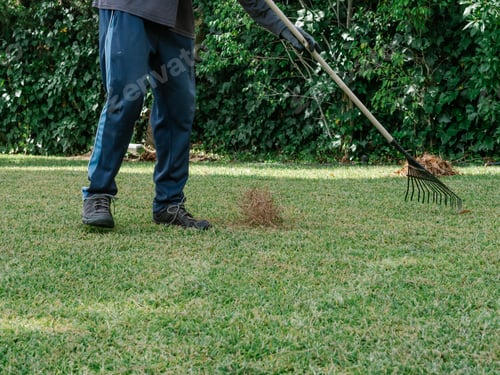 Preview: Figure of a gardener collecting pine debris with a rake