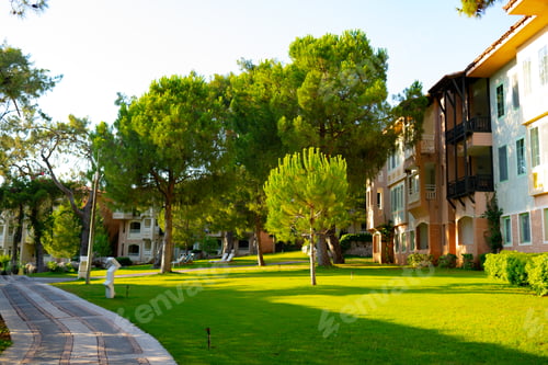 Preview: Beautiful park with fresh green grass and trees