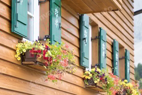 Preview: August 21, 2021: windows with flowers of Malga Casnago, Dolomites Odle - Italy
