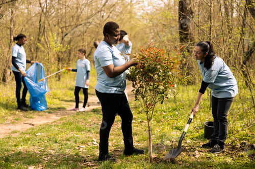 Preview: Team of volunteers planting trees around the forest area for nature conservation