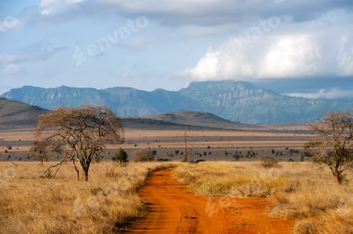 Preview: Savannah landscape in the National park of Kenya
