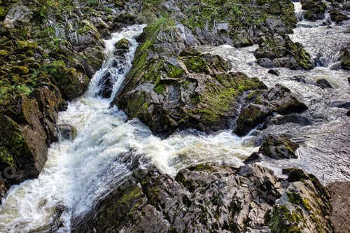 Preview: Rapid mountain river