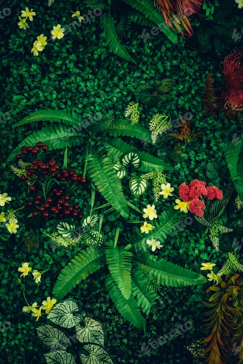 Preview: Close up group of background green leaves texture and Abstract Nature Background.