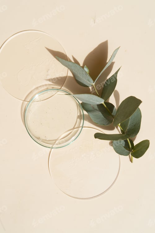 Preview: Glass petri dish with transparent pure serum for skin care
