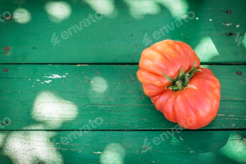 Preview: Healthy tomatoes in garden in sunny day