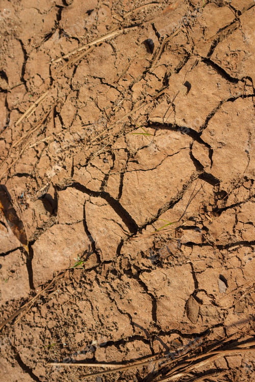 Preview: Dry Cracked Soil Texture Background