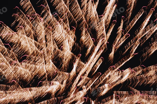 Preview: Fireworks