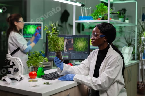 Preview: African american microbiologist researcher holding gmo sapling