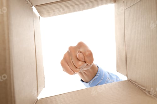 Preview: Box with hand showing fig gesture, isolated on white background
