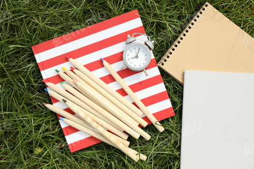 Preview: Copybooks and colored pencils on green grass. Creativity