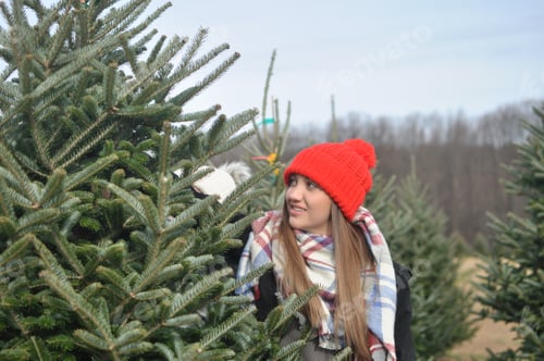 Preview: Christmas tree