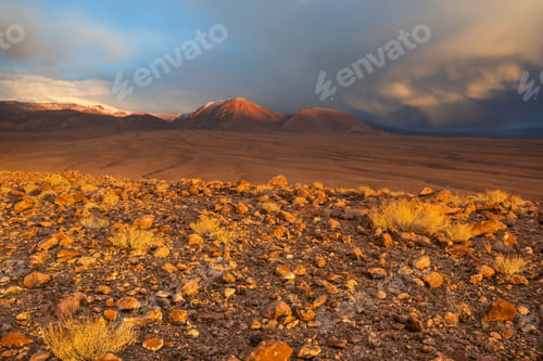 Preview: Atacama desert