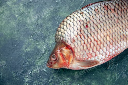 Preview: front view fresh raw fish on dark blue background meat water ocean food omega color horizontal meal