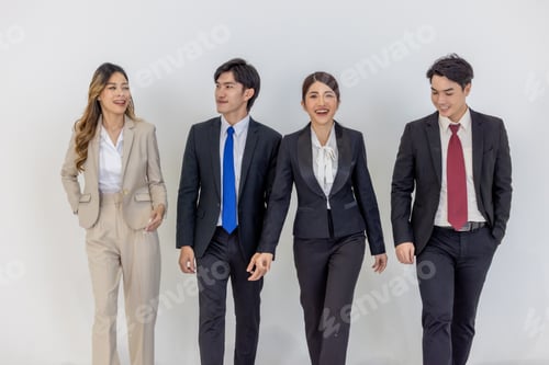 Preview: Professional Business Team standing against a plain background