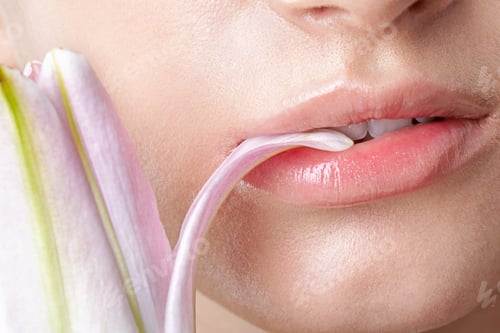 Preview: Close-Up Portrait Of Half Face Of Beautiful Model Nipping Flower'S Petal