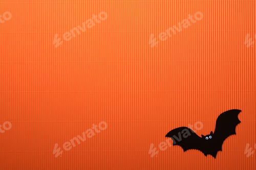 Preview: Halloween holiday background. Orange pumpkin, bat with funny eyes, spider, spider web, old leaves an