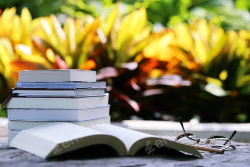 Preview: Pile of book in garden