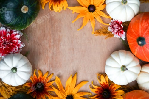 Preview: Various colourful pumpkins and flowers. Autumn harvest concept.