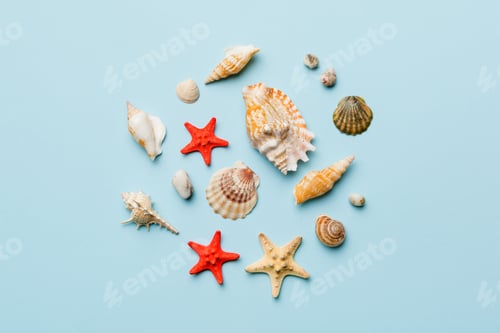 Preview: Summer time concept Flat lay composition with beautiful starfish