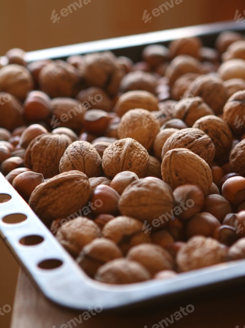 Preview: Close up of fresh walnuts and hezelnuts