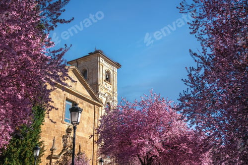 Preview: Carmen de Abajo Church - Salamanca, Spain
