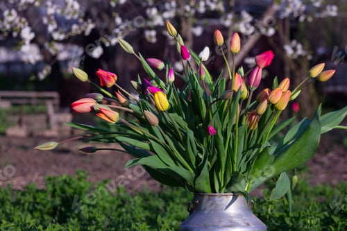 Preview: huge bouquet of tulips