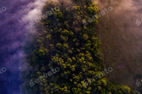 Preview: Aerial view of a beautiful summer landscape with a fog while dawn.