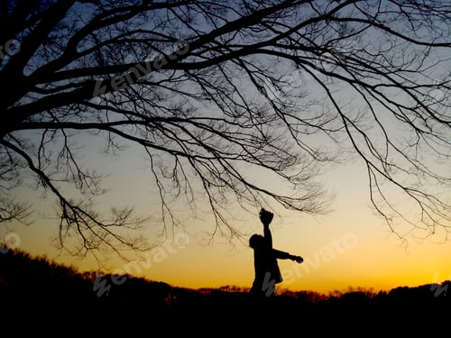 Preview: Silhouette of baseball catcher