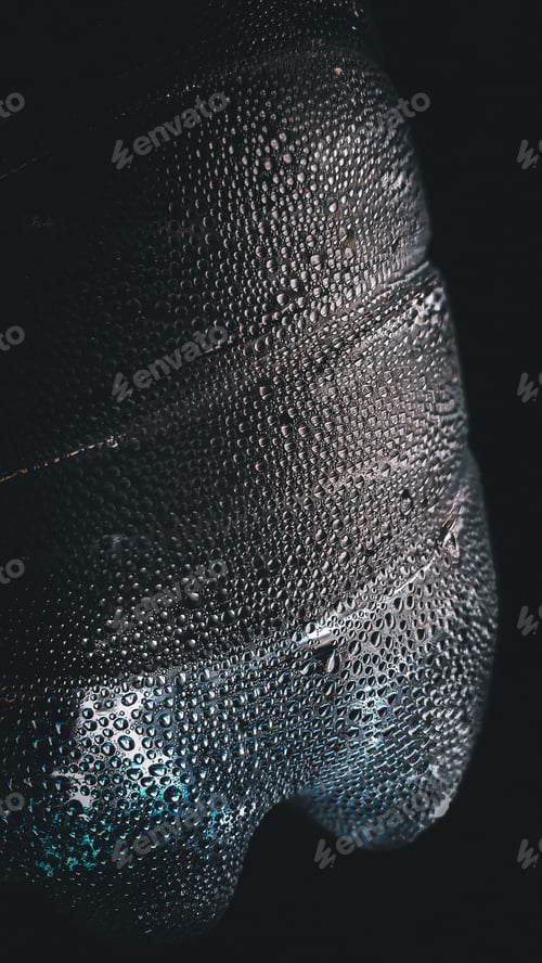 Preview: Close-up shot of thousands of waterdrops on a plastic bottle