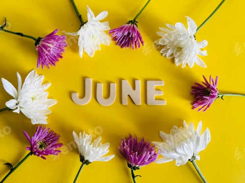 Preview: JUNE on yellow background