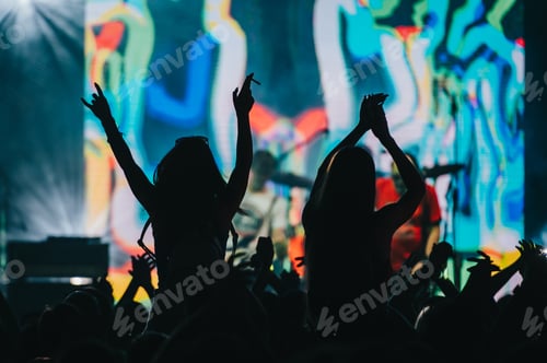Vista previa: Two woman in the crowd at a music festival