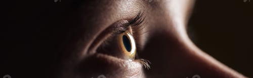 Preview: close up view of human eye in darkness, panoramic shot