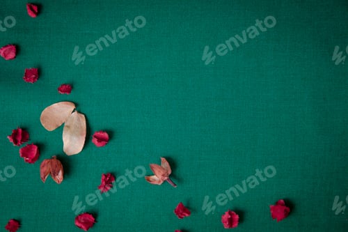 Preview: green background with dry red flower.