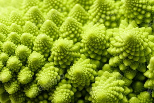 Preview: Romanesco broccoli
