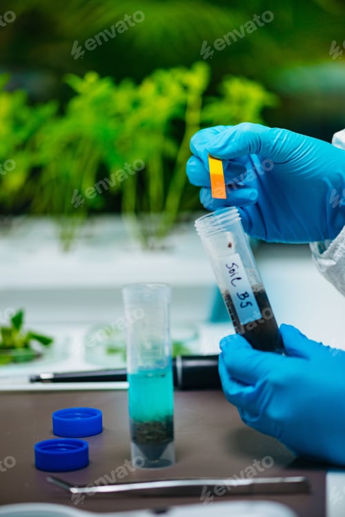 Preview: Biologist Examining Plant Soil