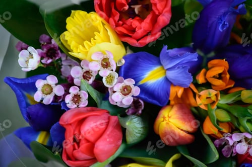 Preview: Bouquet of spring flowers