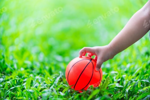 Preview: A small hand of an Asian cute girl is reaching for an orange ball placed on a refreshing green lawn.